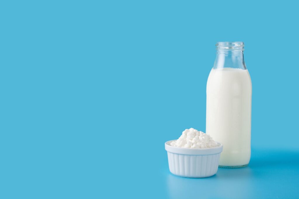 bebidas probioticas